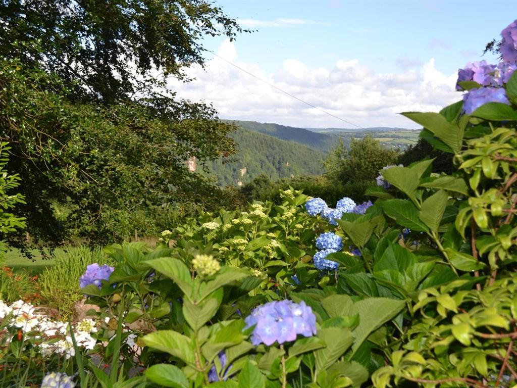 Sandhill House Country House Retreat Gunnislake Exteriér fotografie